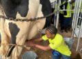 NAGRC Operates 17 farms and ranches situated in all the sub-regions of Uganda