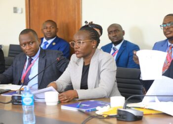 UDB Managing Director, Patricia Ojangole