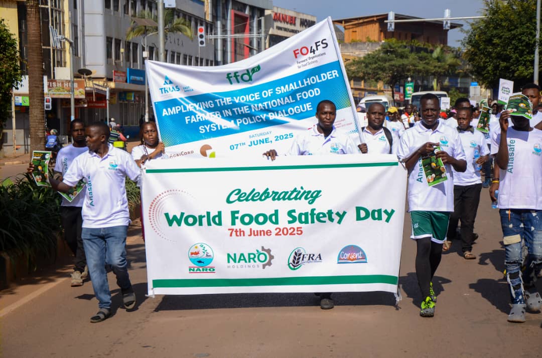 CSOs urge government to invest in research for safer food systems 