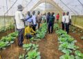 Lango based journalists having a field visit of the research facilities at NARO Ngetta Zonal Agricultural Research and Development Institute in Lira