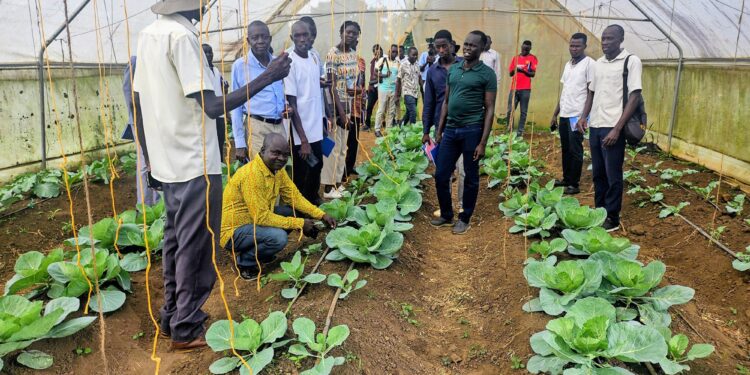 Lango based journalists having a field visit of the research facilities at NARO Ngetta Zonal Agricultural Research and Development Institute in Lira