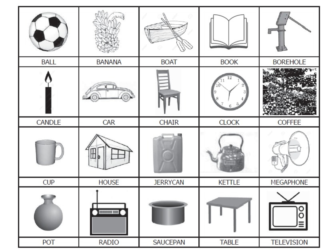 Independent candidates will be required to select from this list of EC-approved symbols.