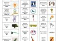 Party Flag Bearers will use their official registered Party Symbols.