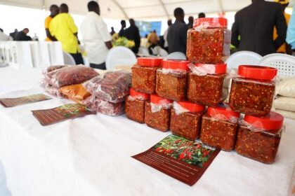 Chili products displayed at the flag-off event of Uganda’s first shipment of dried chili to China, in Kamuli, Uganda, Nov. 20, 2025